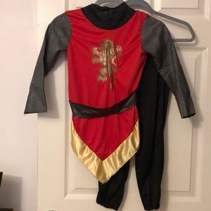 Disney Chronicles of Narnia Costume